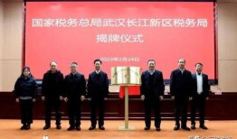 武汉长江爆料最新消息新闻,聚焦突发新闻事件详情